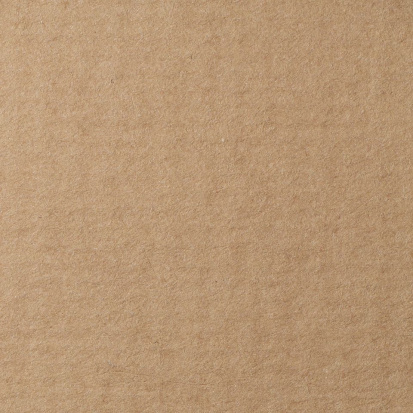 Бумага для пастели Lana светло-коричневый 160г/м2 А4 1л 